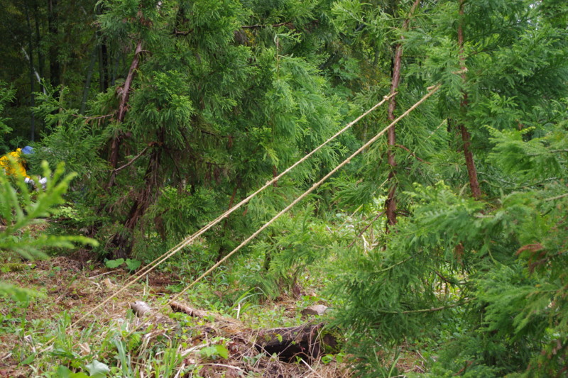 f:id:niigata-art226:20100513191012j:image