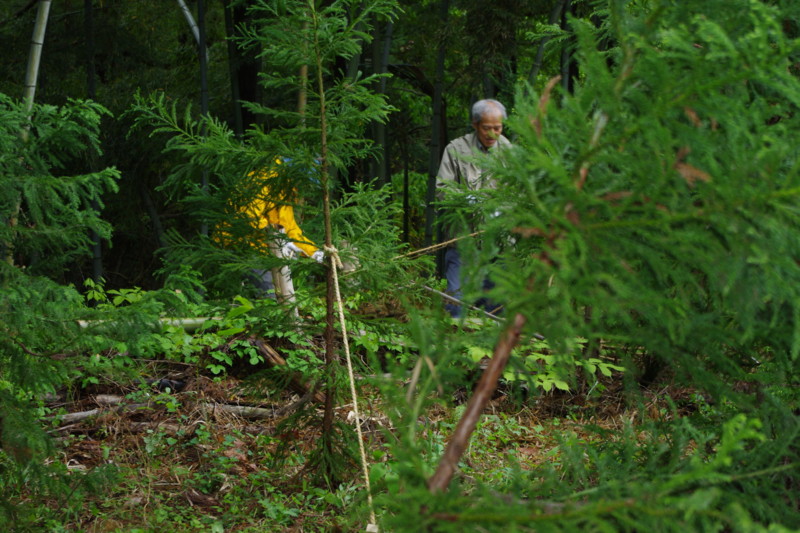 f:id:niigata-art226:20100513191016j:image