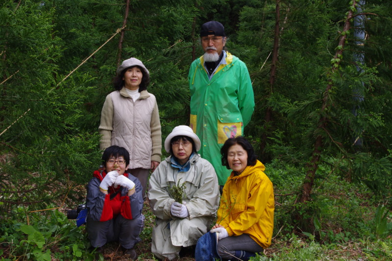 f:id:niigata-art226:20100513195432j:image