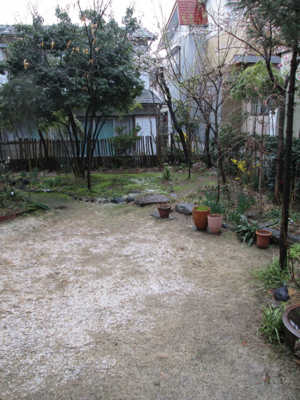f:id:niigata-art226:20140407083813j:image