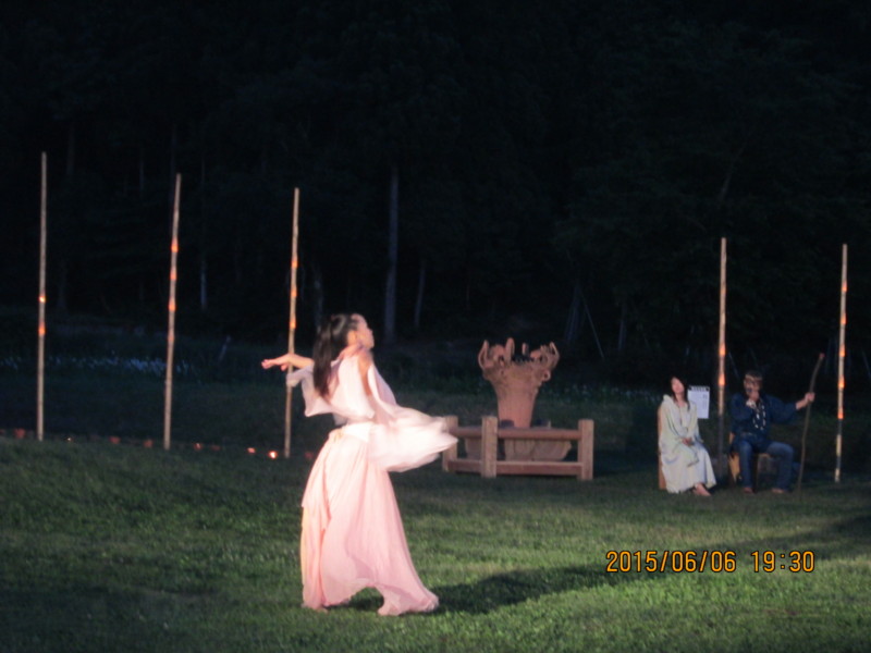f:id:niigata-art226:20150607061405j:image