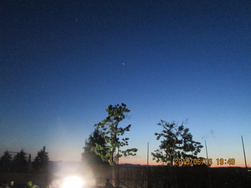 f:id:niigata-art226:20150607064749j:image