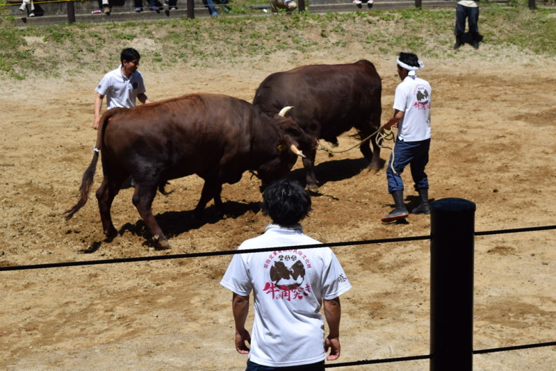 f:id:niigata-art226:20180617192517j:image