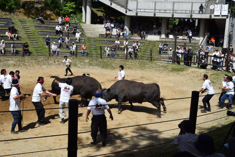 f:id:niigata-art226:20180617192518j:image