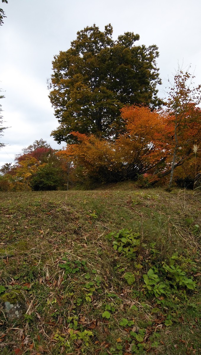 f:id:niigata-art226:20201025155203j:plain f:id:niigata-art226:20201025155203j:plain