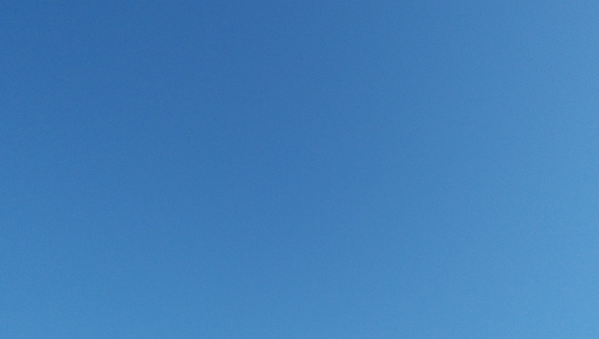 f:id:niigata-art226:20201031153524j:plain