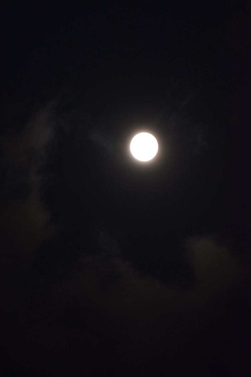 f:id:niigata-art226:20211221100543j:plain