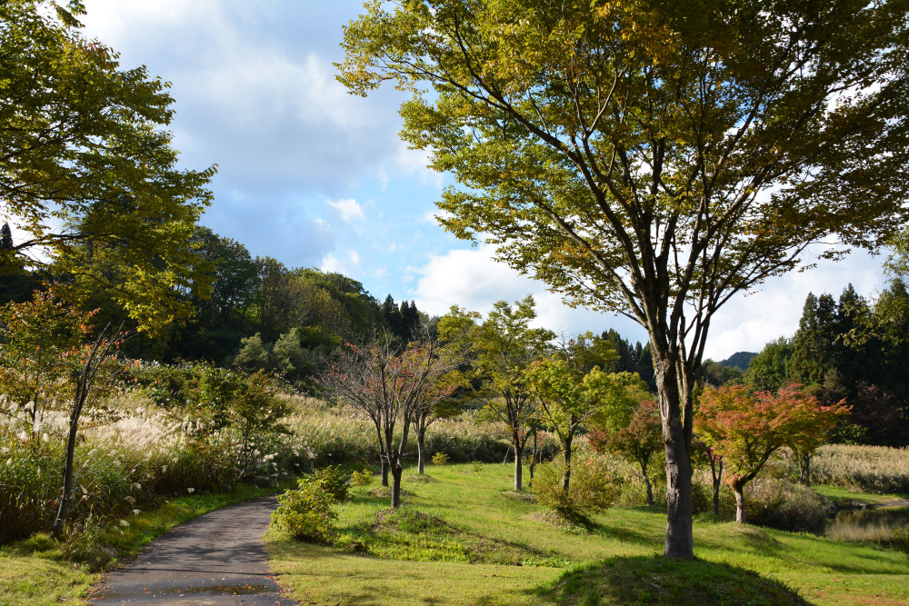 f:id:niigata-sanpo:20211120173247j:plain