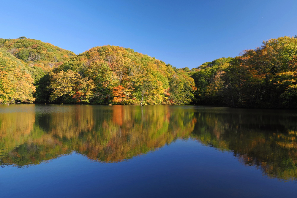 裏磐梯の湖沼めぐり 〜桧原湖・レンゲ沼・曲沢沼〜 - NIIGATA