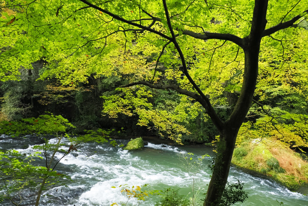 北陸紀行④ 〜山中温泉・鶴仙渓〜 - NIIGATAさんぽびと