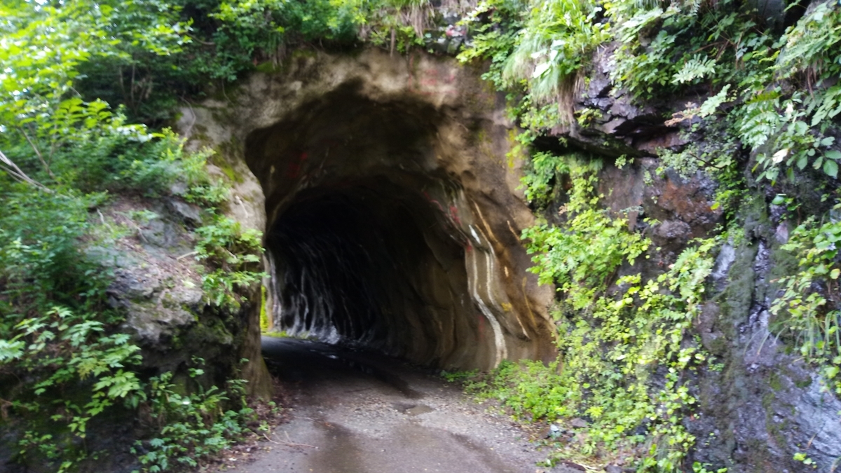 f:id:niigatabicycletourism:20190715191114j:plain f:id:niigatabicycletourism:20190715191114j:plain
