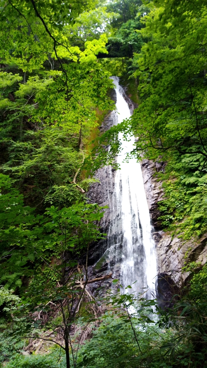 f:id:niigatabicycletourism:20190715192429j:plain f:id:niigatabicycletourism:20190715192429j:plain
