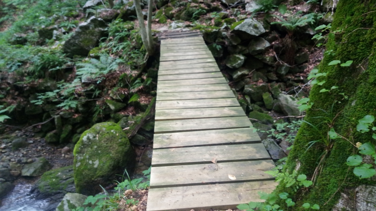 f:id:niigatabicycletourism:20190715192556j:plain f:id:niigatabicycletourism:20190715192556j:plain