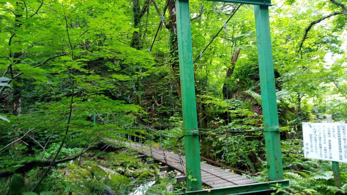 f:id:niigatabicycletourism:20190715192901j:plain f:id:niigatabicycletourism:20190715192901j:plain