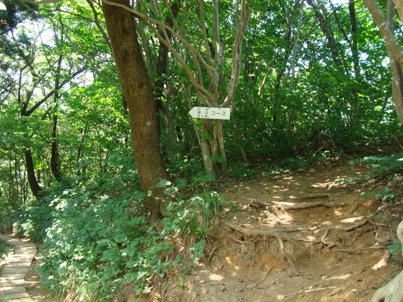 DSC05614_R.jpg