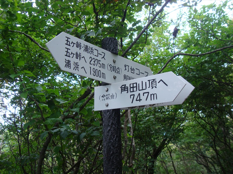 DSC05699_R.jpg
