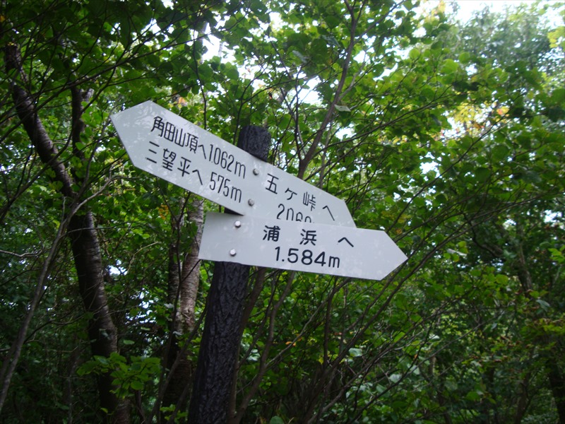 DSC05702_R.jpg