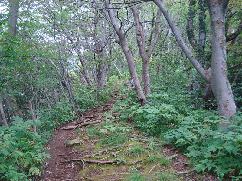 DSC05711_R.jpg