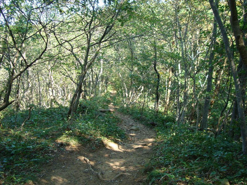 DSC06197_R.jpg