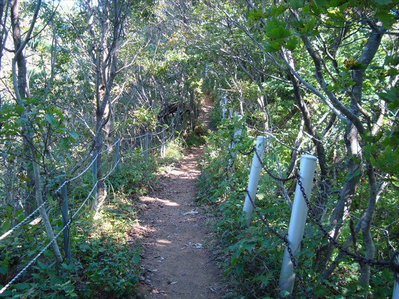 DSC06201_R.jpg