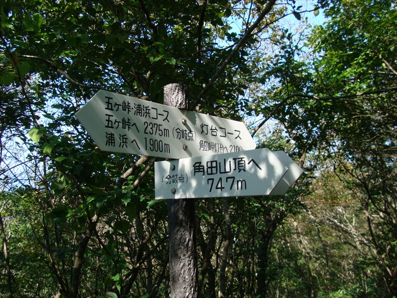 DSC06212_R.jpg