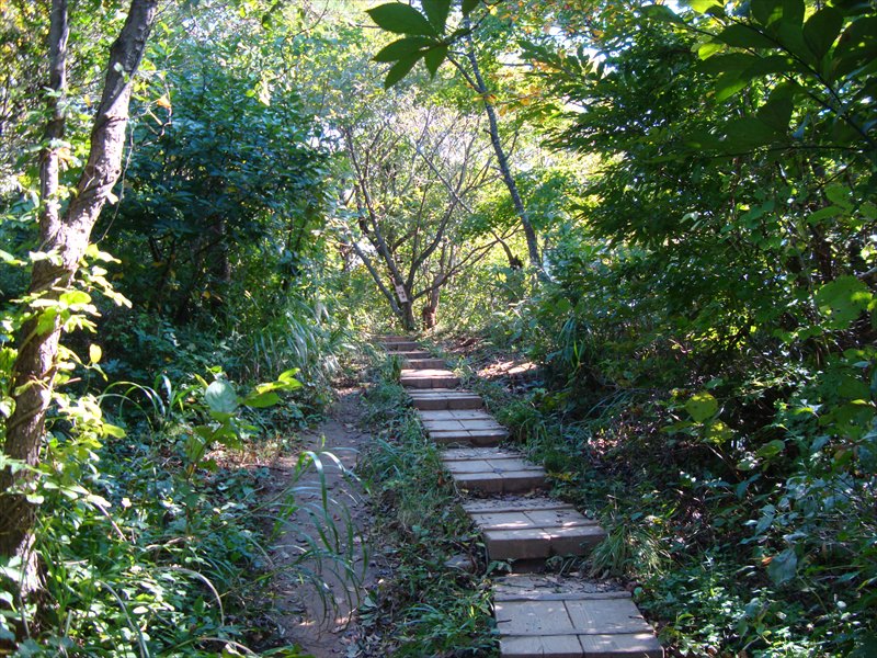 DSC06214_R.jpg