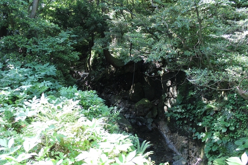 IMG_7887_R.jpg