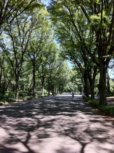 f:id:niiii:20110717125417j:image