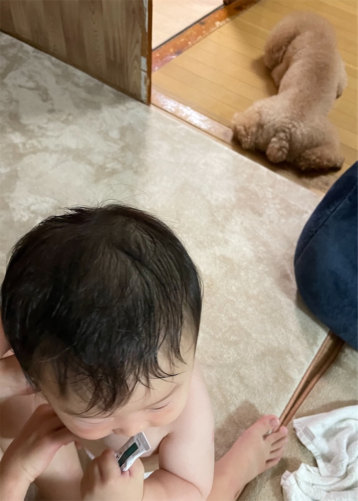 f:id:niiim:20210715034145j:image