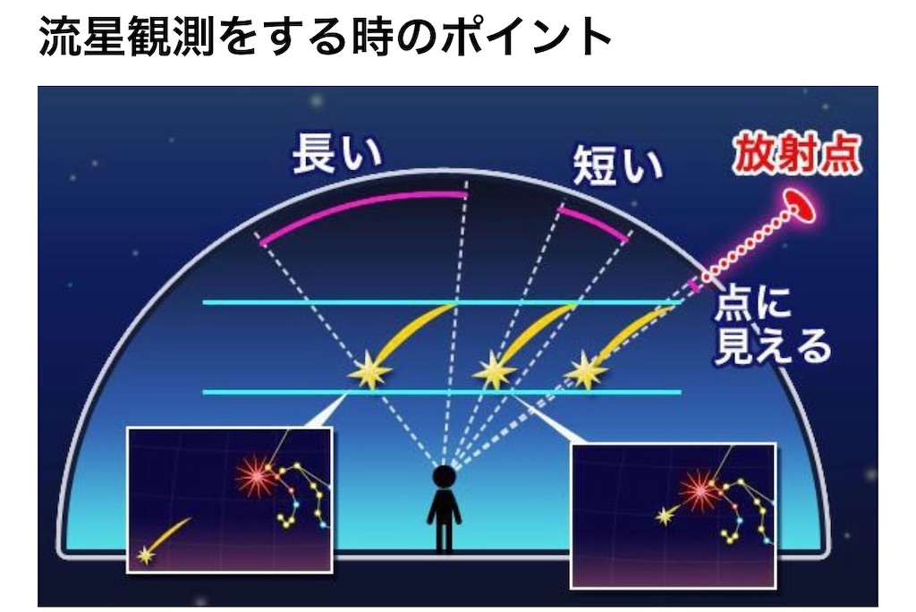 f:id:niiim:20211118082027j:image