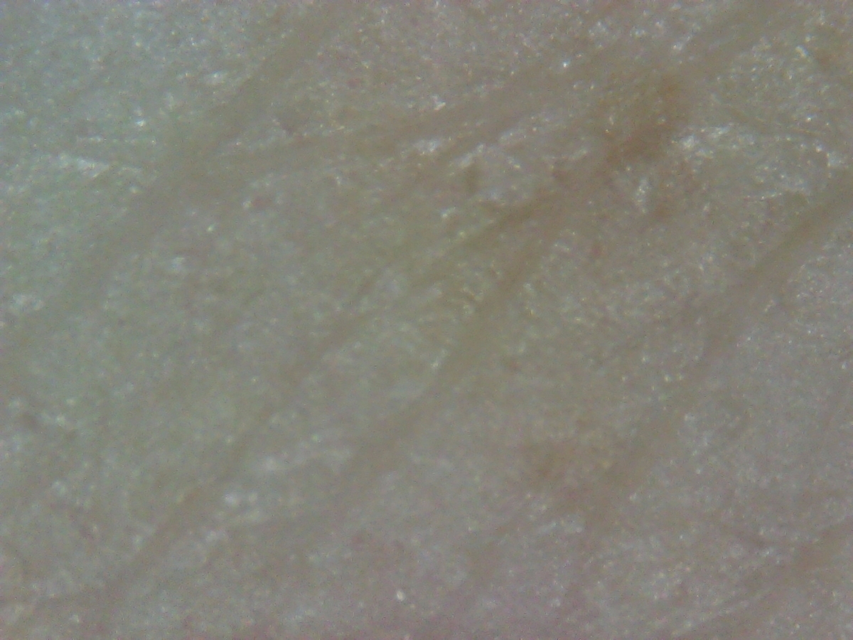 f:id:niina-123:20210711183433j:plain