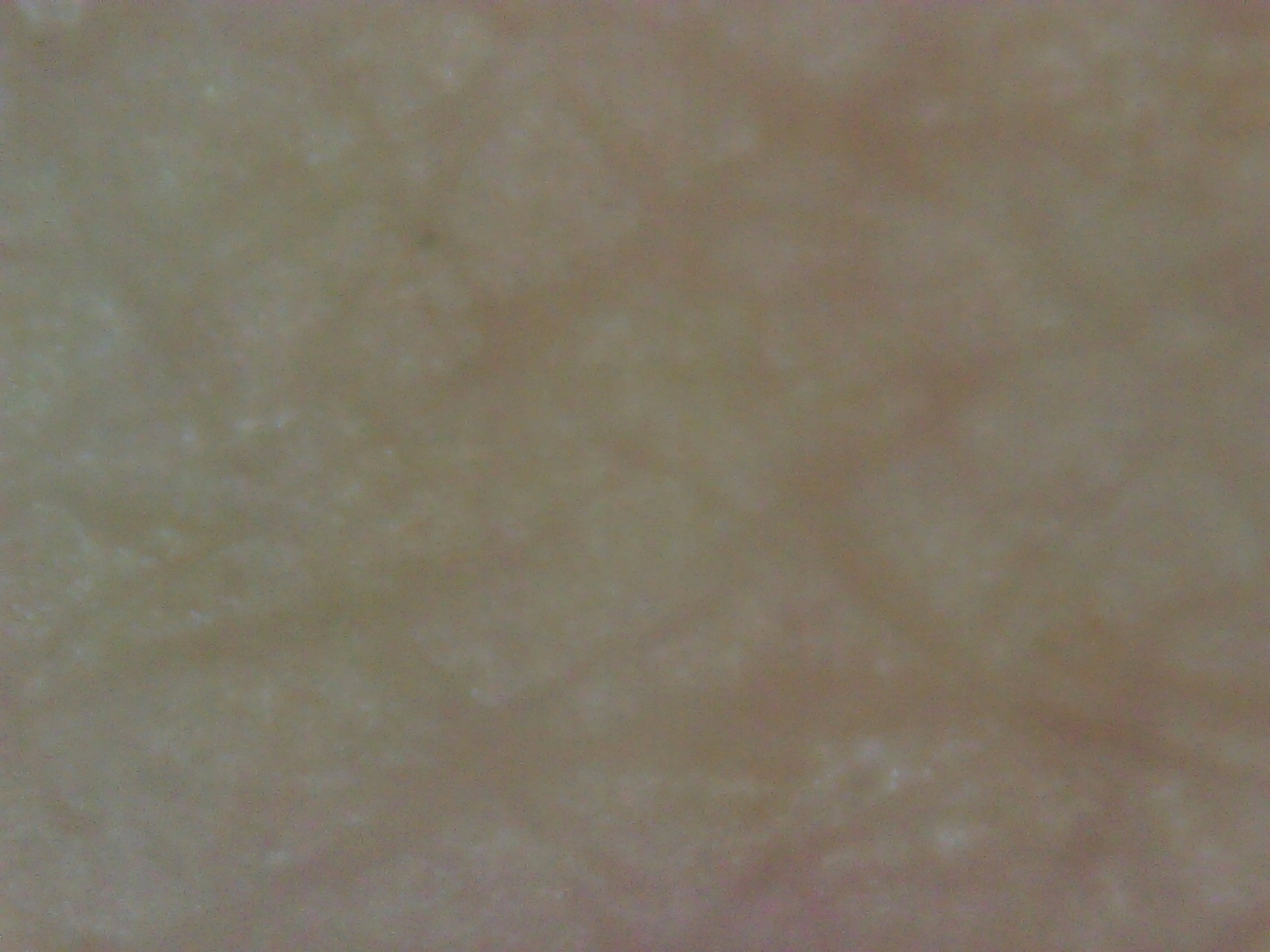 f:id:niina-123:20210711190205j:plain