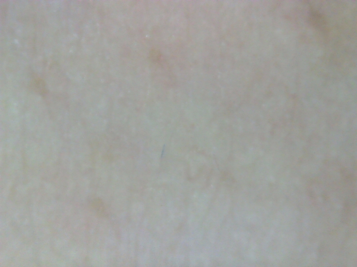 f:id:niina-123:20210912185323j:plain