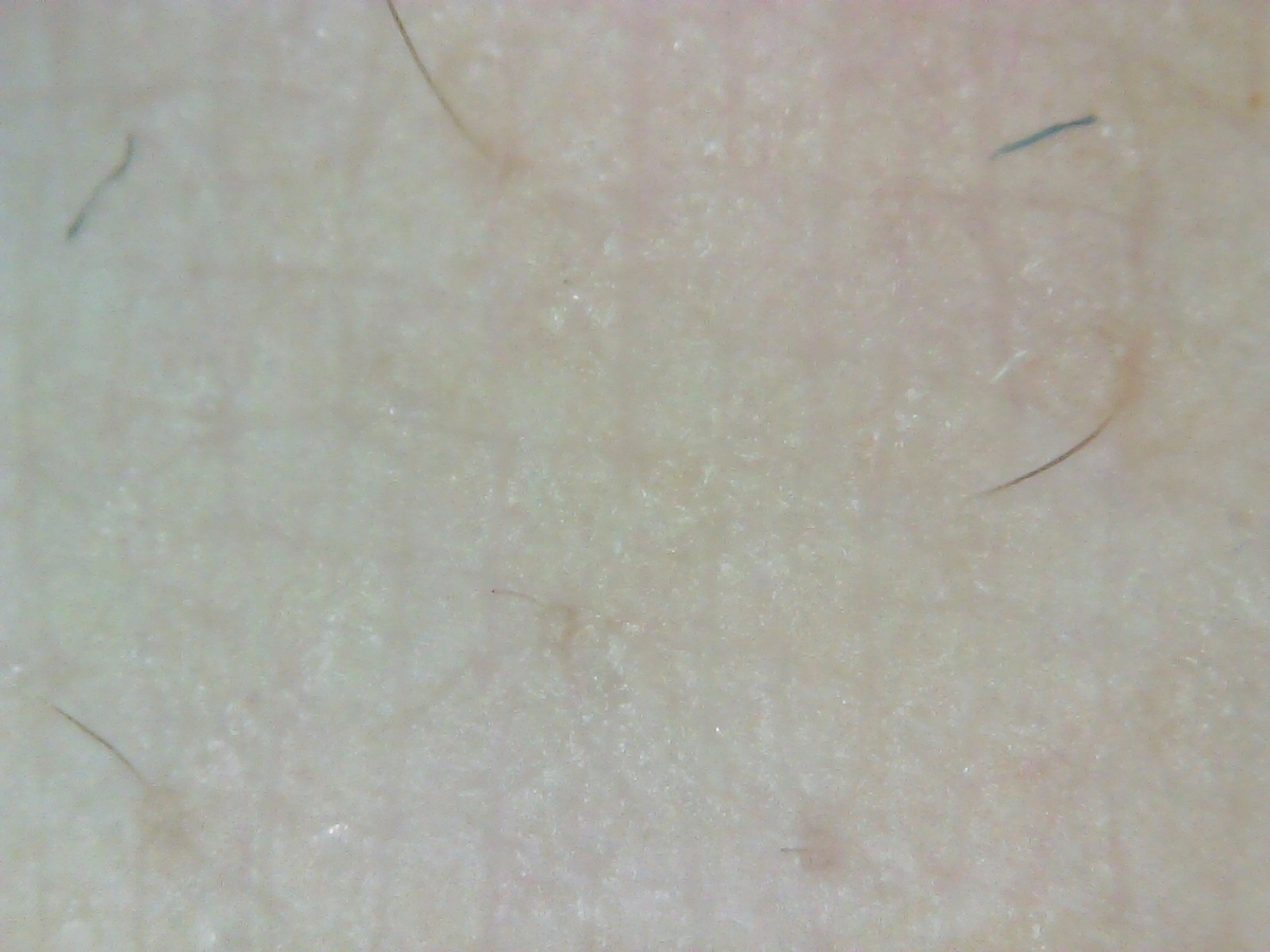 f:id:niina-123:20210912185327j:plain