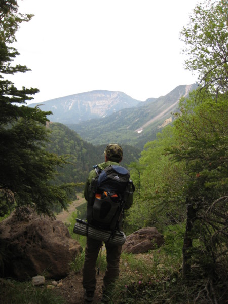 f:id:niiz:20090628085954j:image