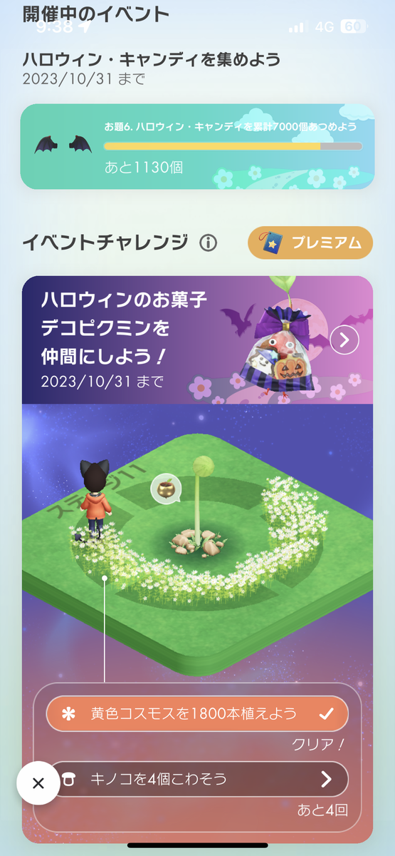 ブルームページ Home : Pikmin Bloom Web Store