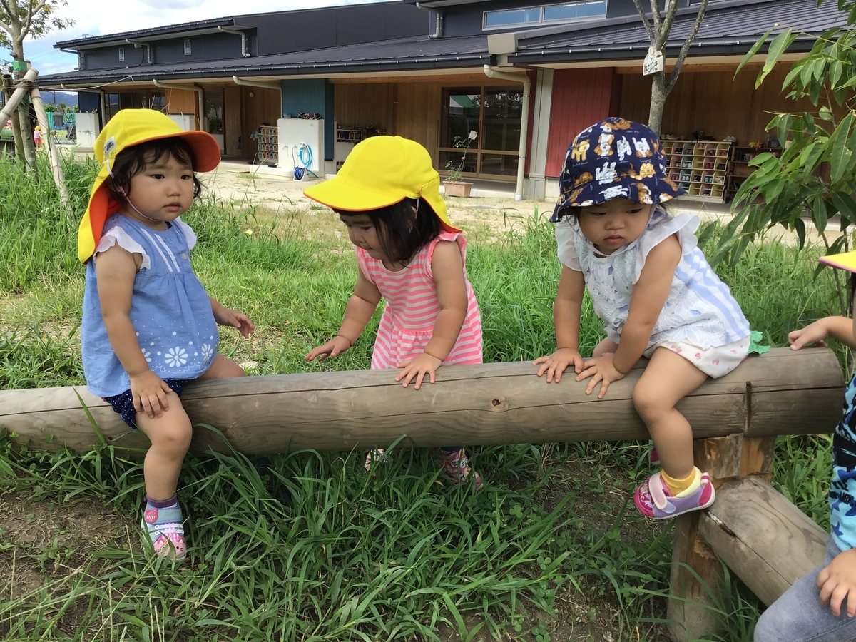 木製手作り遊具の仲間が増えました みはた虹の丘こども園のブログ 木製手作り遊具の仲間が増えました みはた虹の丘こども園のブログ