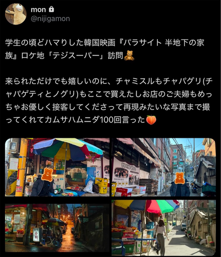 f:id:nijigamon:20241216143746j:image