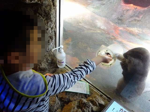 f:id:nijihaha:20180507221209j:plain f:id:nijihaha:20180507221209j:plain