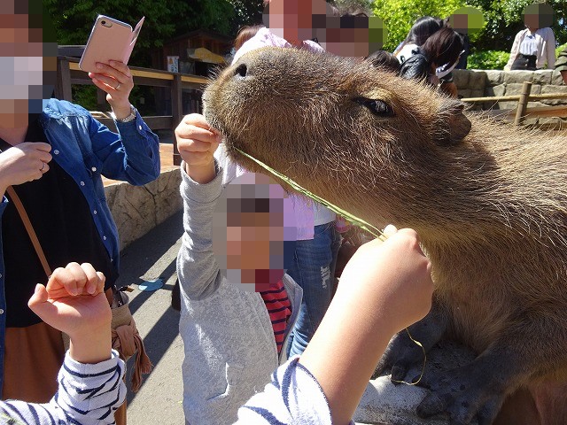 f:id:nijihaha:20180507221217j:plain f:id:nijihaha:20180507221217j:plain