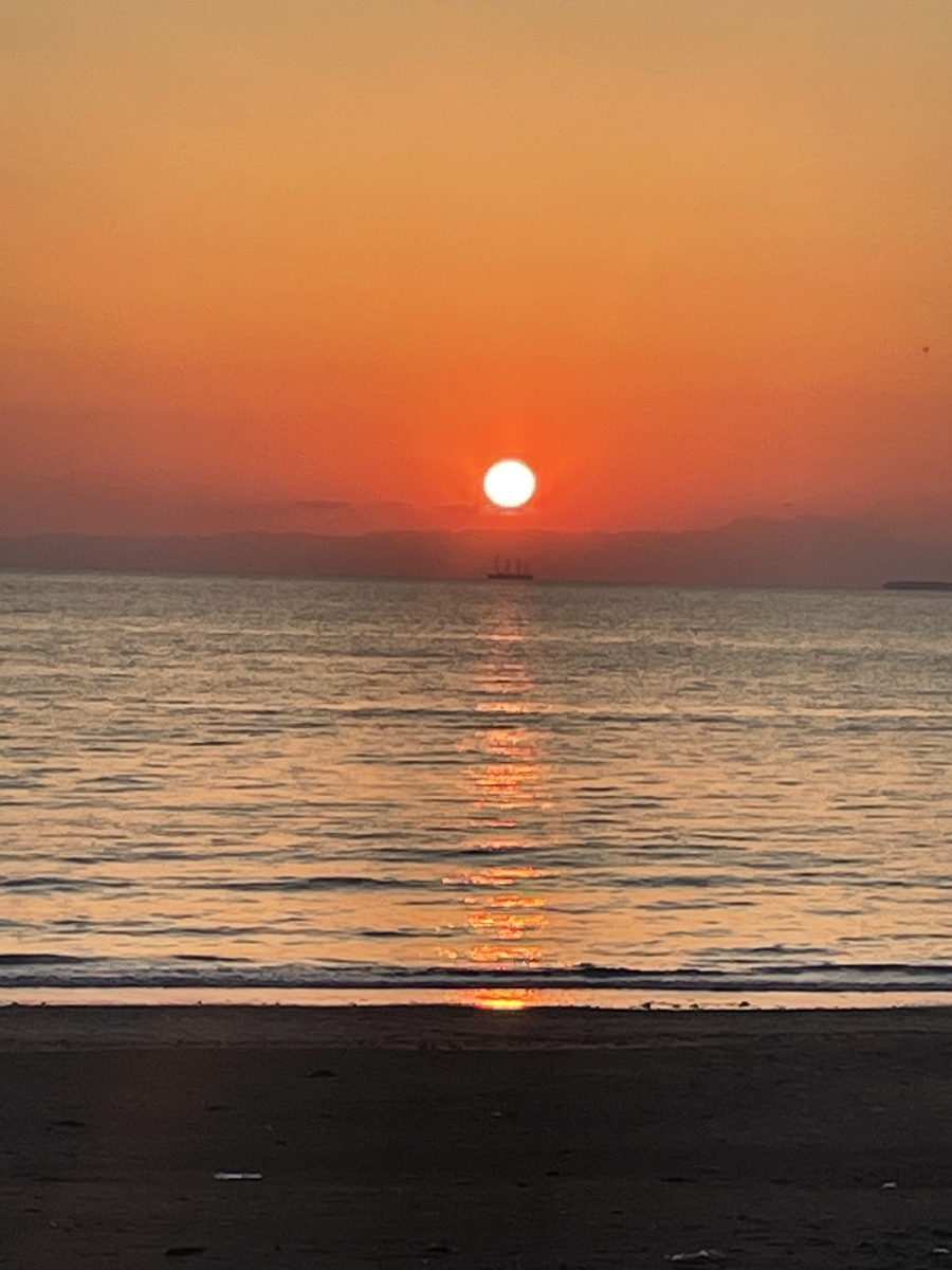 マイヤーズC4-Studio　夕日紅 Mark Anthony Bersola - 夕日紅, Yūhi Kurenai【夕日 紅】