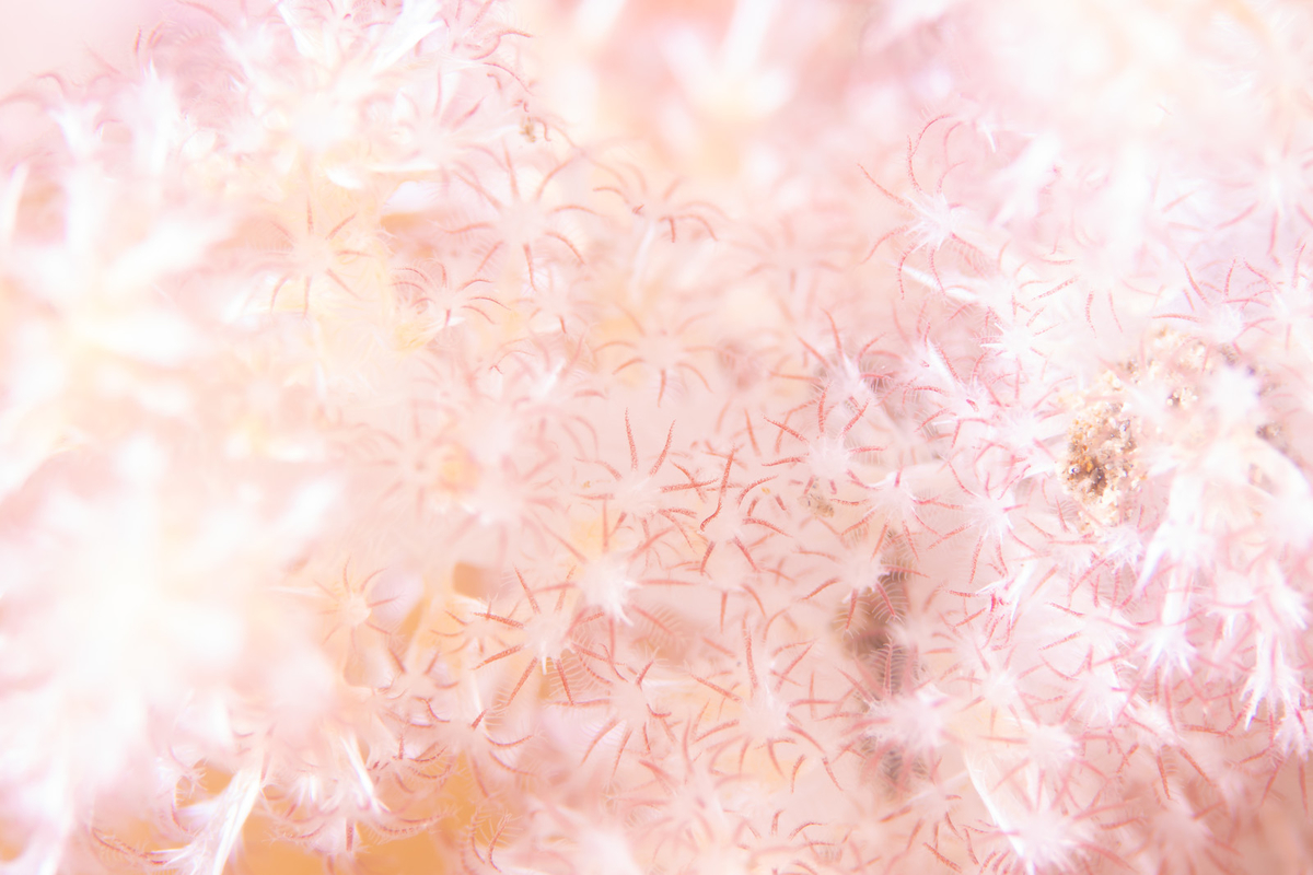 f:id:nijikoi:20191004142937j:plain