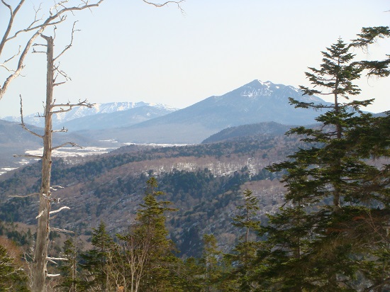イメージ 6