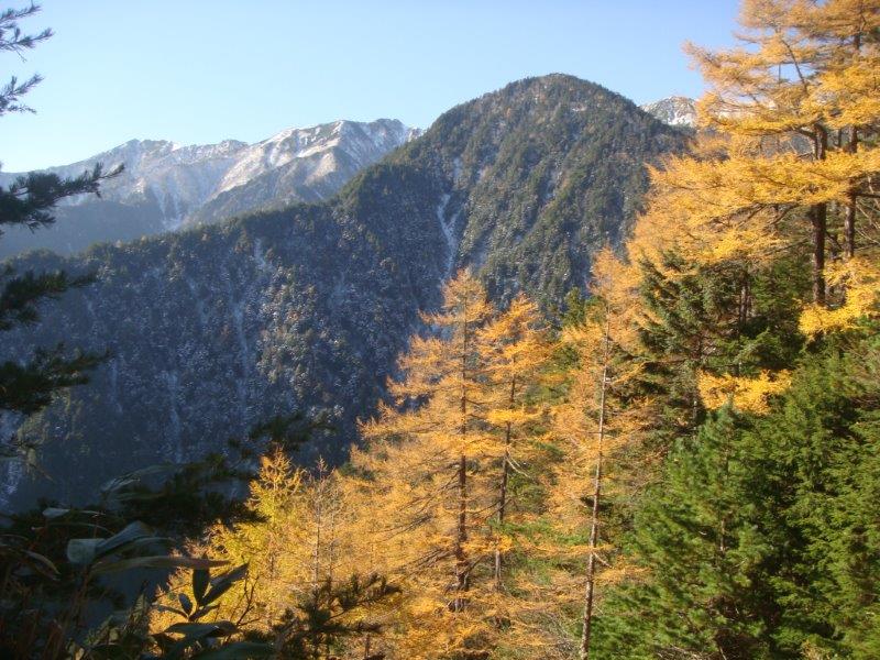 f:id:nijinsky33:20201028183549j:plain f:id:nijinsky33:20201028183549j:plain