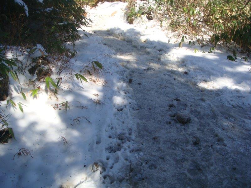 f:id:nijinsky33:20201028183645j:plain f:id:nijinsky33:20201028183645j:plain