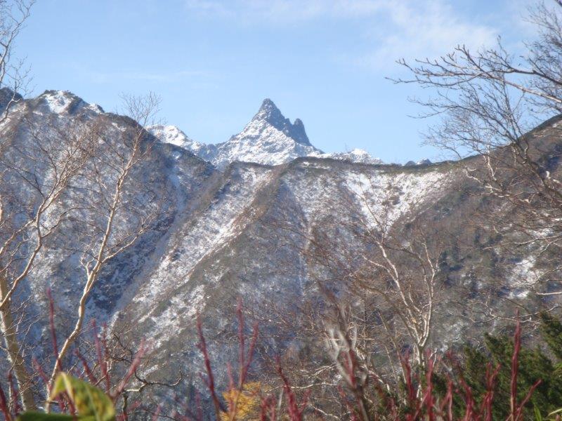 f:id:nijinsky33:20201028183818j:plain f:id:nijinsky33:20201028183818j:plain