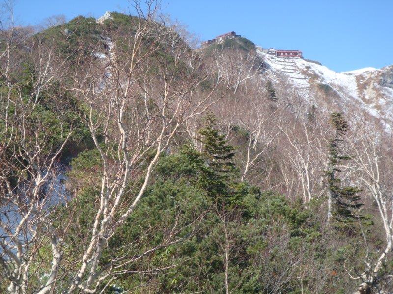 f:id:nijinsky33:20201028183927j:plain f:id:nijinsky33:20201028183927j:plain