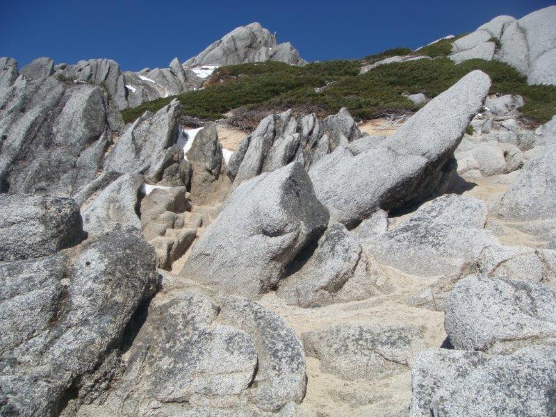 f:id:nijinsky33:20201028184511j:plain f:id:nijinsky33:20201028184511j:plain
