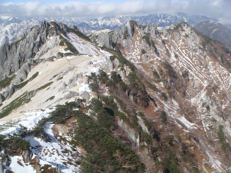 f:id:nijinsky33:20201028185313j:plain f:id:nijinsky33:20201028185313j:plain