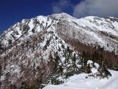 f:id:nijinsky33:20210517173200j:plain